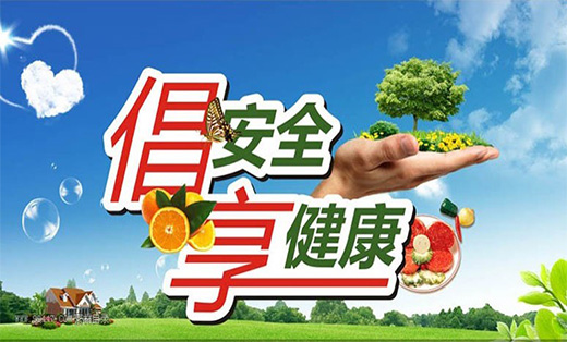ppt  围绕倡安全,享健康主题制作演讲类ppt.