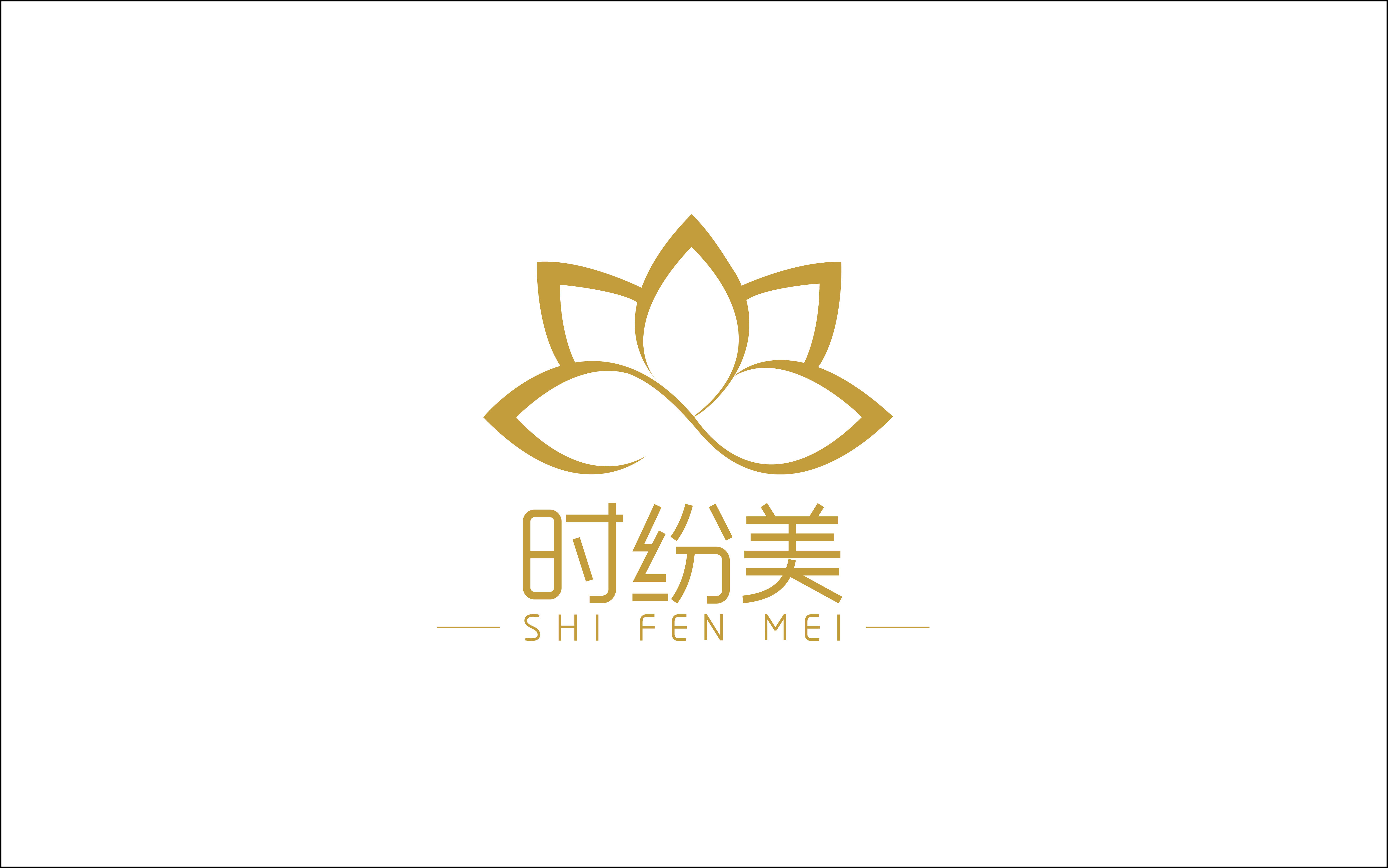 王家店小二&取名logo包裝vi畫冊(cè)