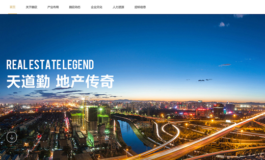 【定制企业网站】鹏欣集团