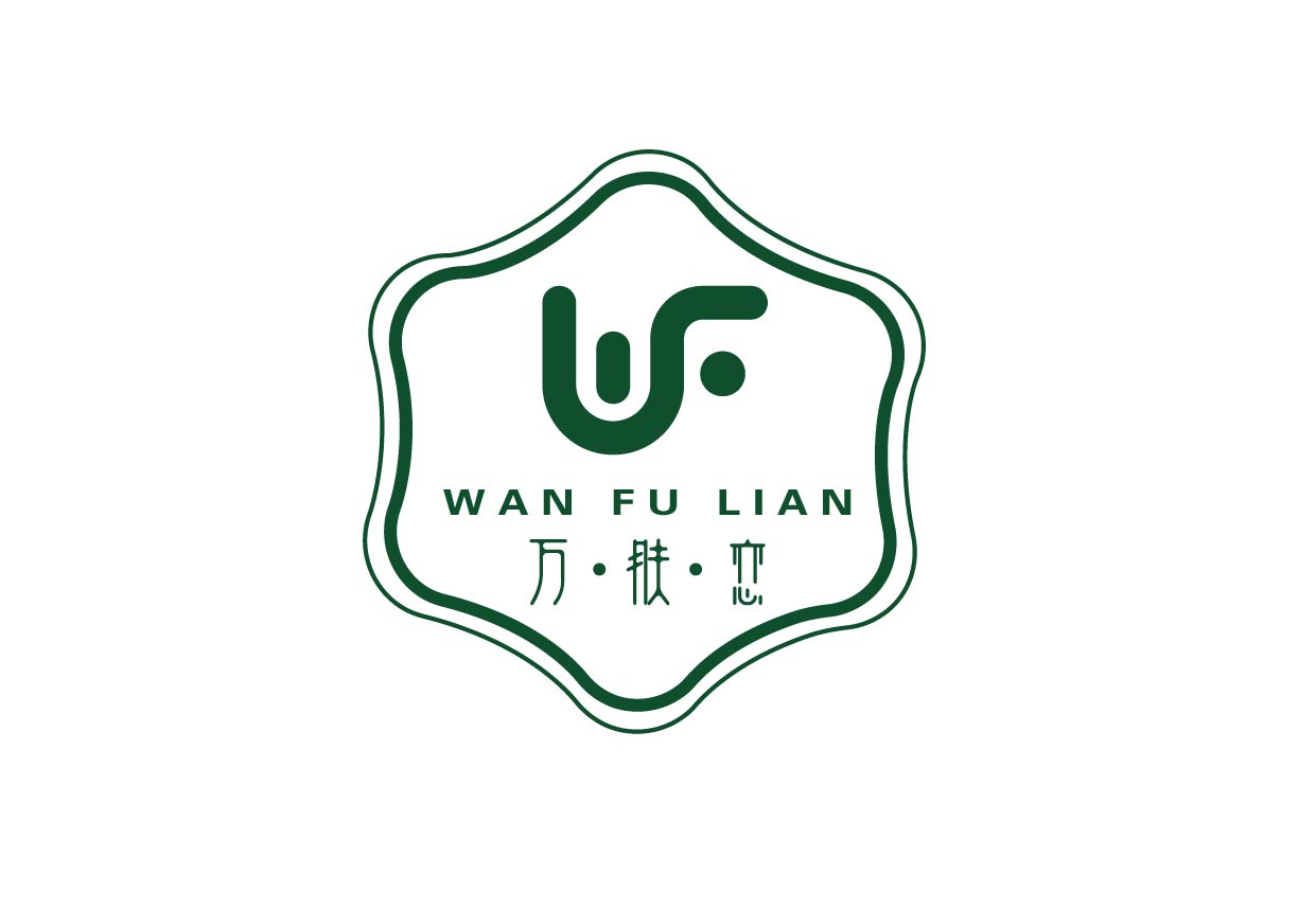 王家店小二&取名logo包装vi画册