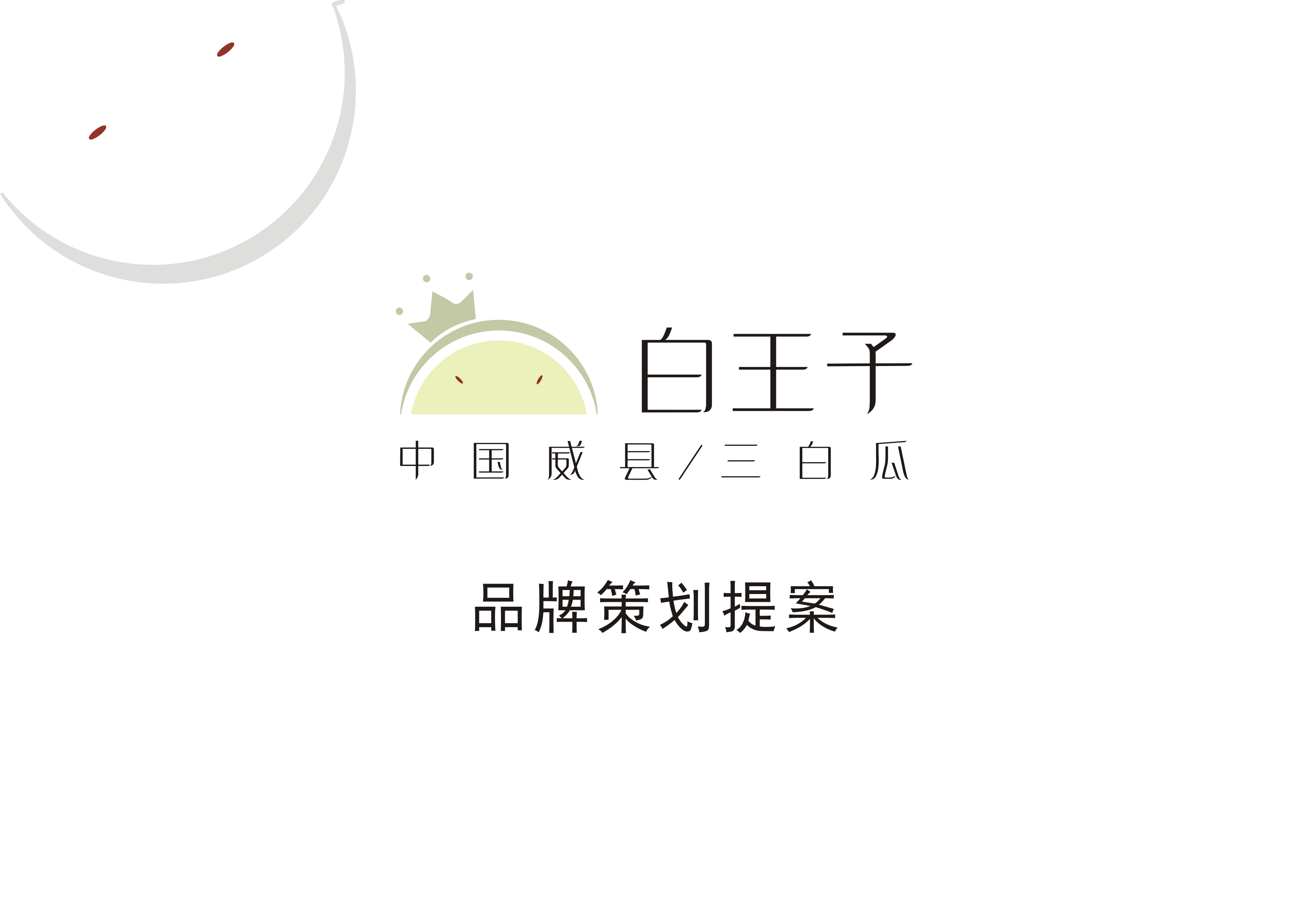 农产品专业品牌<hl>策划</hl>
