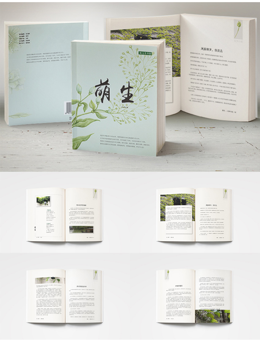 专业教辅教材书籍排版设计图书图册内页id家谱字帖word排版