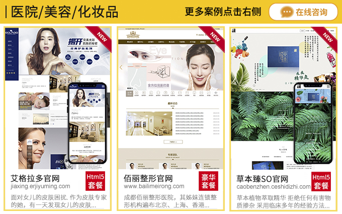 网站建设维护公司排名,知名网站建设服务