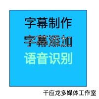 影视广告宣传片字幕听录高效制作添加修改生成精准多语言中文英文