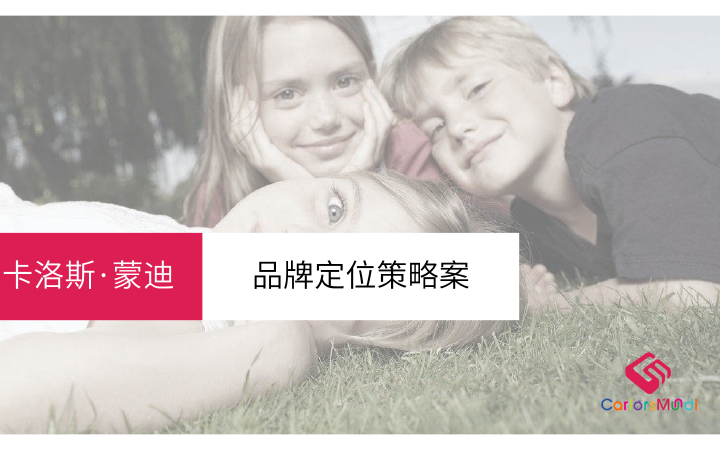 品牌全案策劃品牌故事公司簡(jiǎn)介產(chǎn)品定位廣告語(yǔ)創(chuàng)意文案
