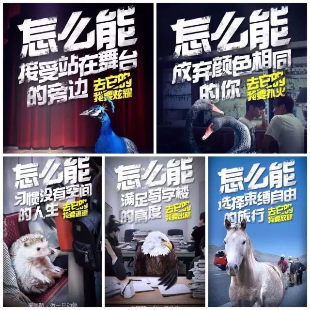 百十兆品牌营销全案机构