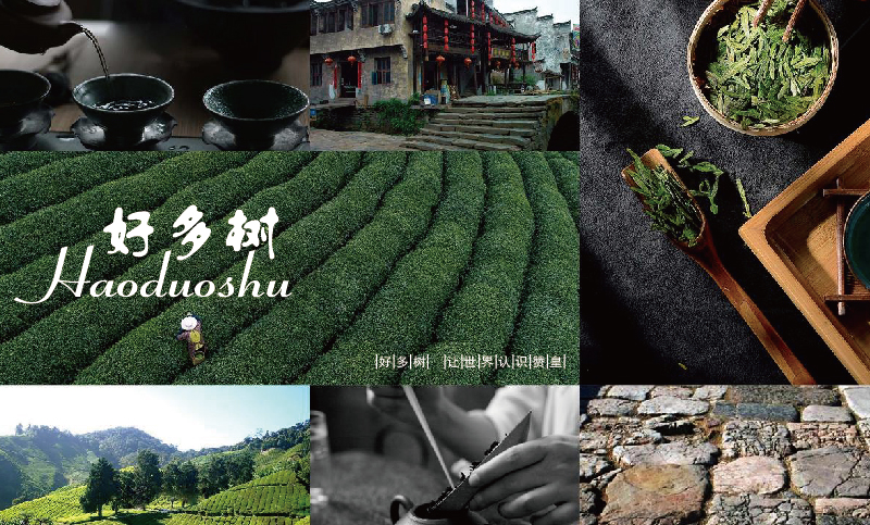 好多樹保健茶包裝