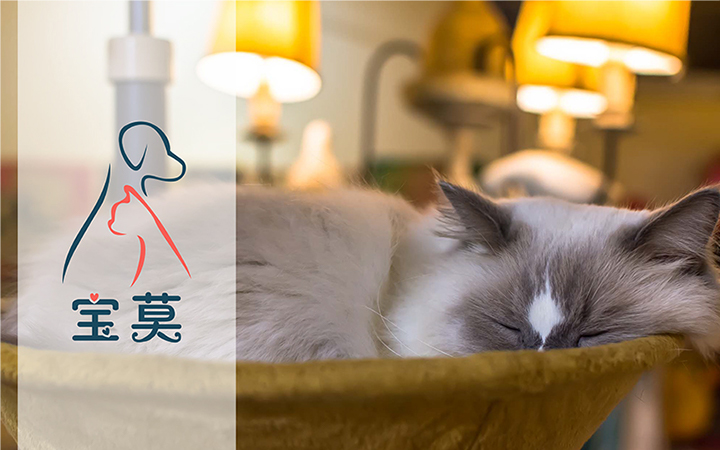 品牌企业公司LOGO设计注册图文标志商标logo餐饮平面教育