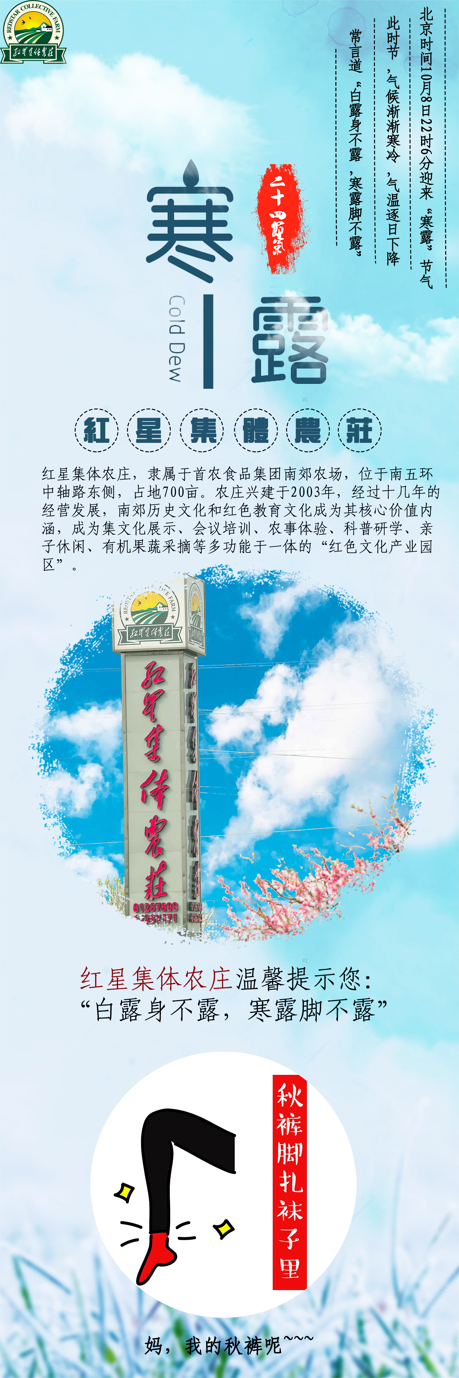 想要文案現(xiàn)給您做