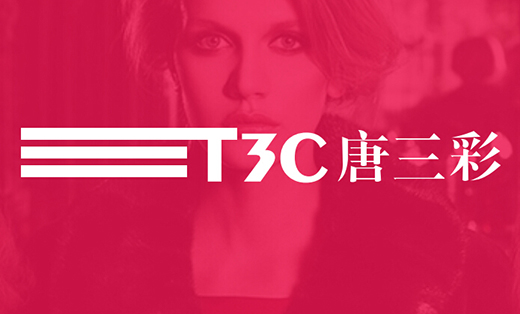 艺点-唐三彩logo设计热度:7艺点-飞达集团logo设计热度:4