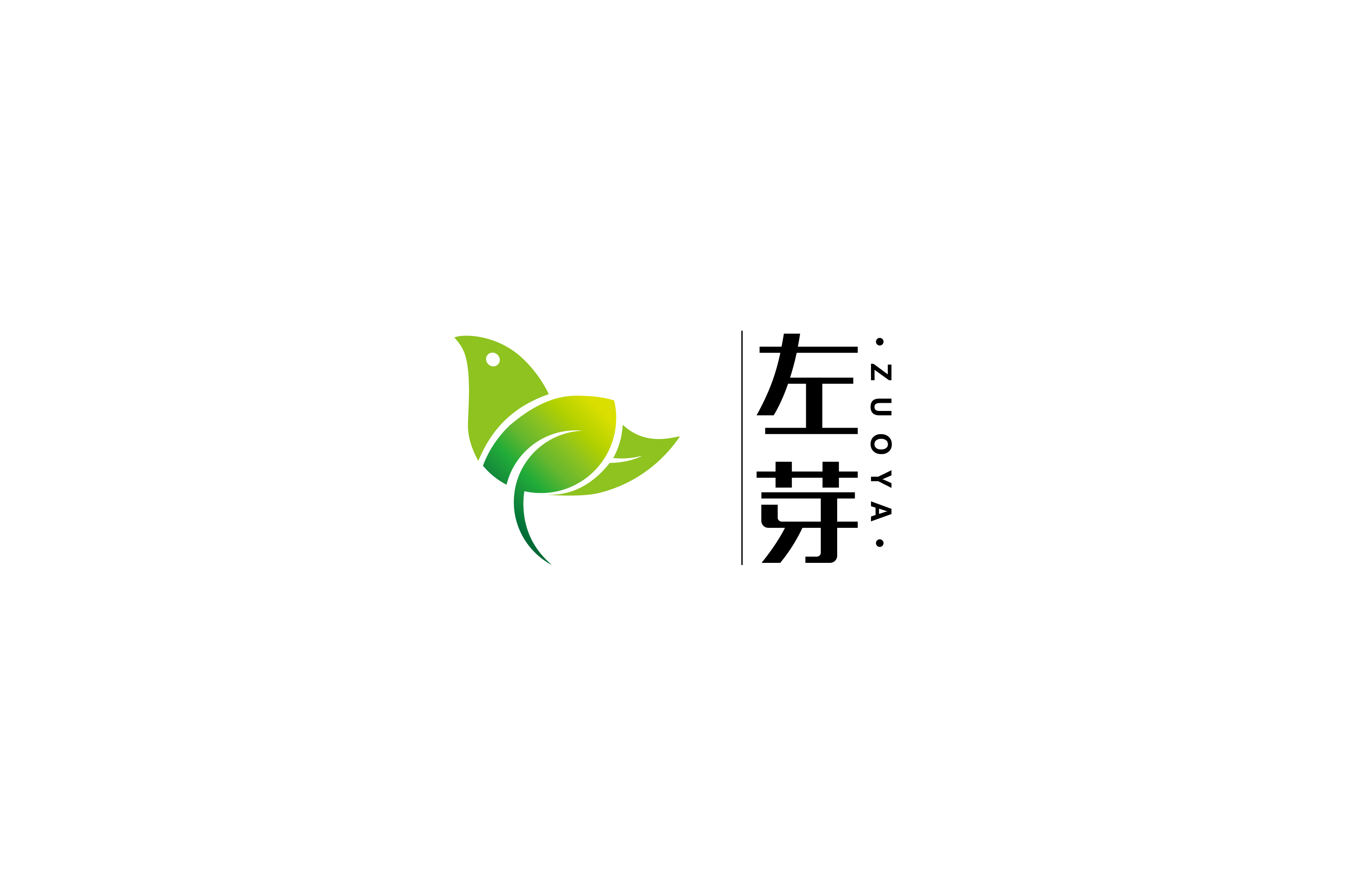 王家店小二&取名logo包裝vi畫冊