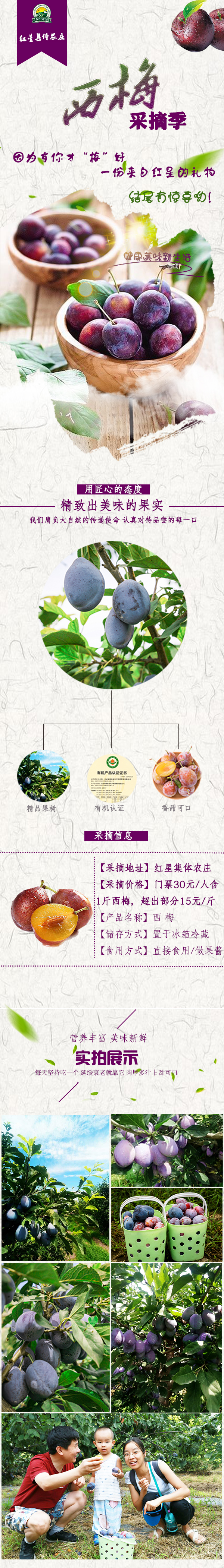 想要文案現(xiàn)給您做