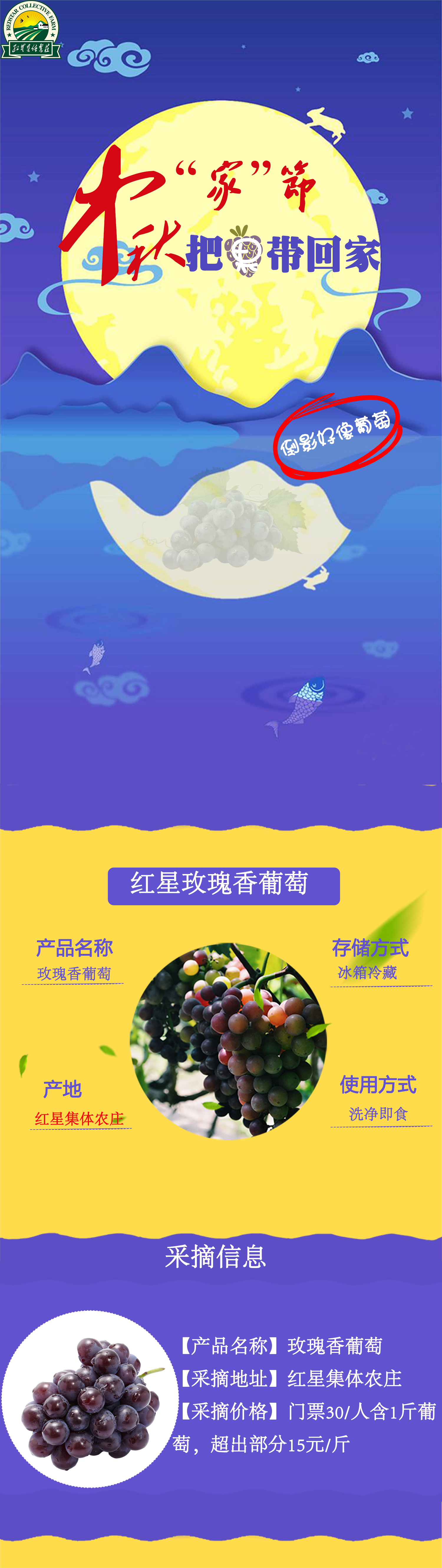 想要文案現(xiàn)給您做