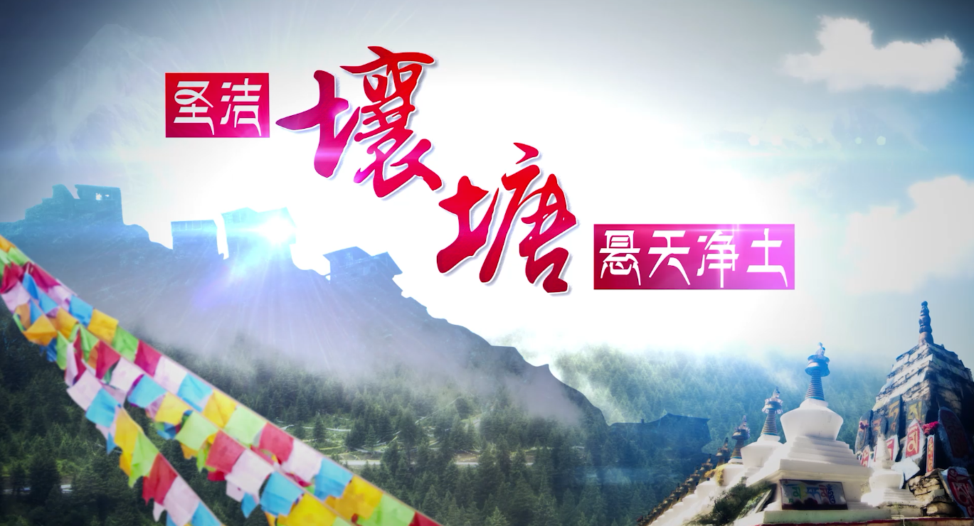 企业宣传 文化宣传 活动摄影 形象宣传 短视频 专题 汇报