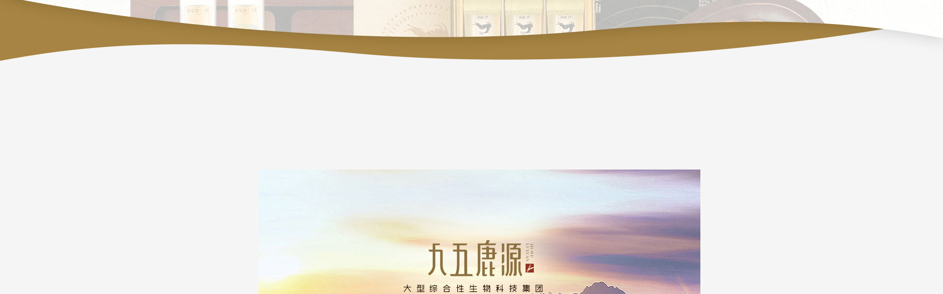 狮动策划设计-诚信16年直营店