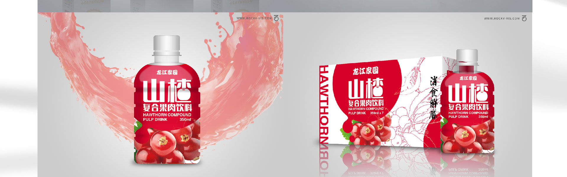 狮动策划设计-诚信16年直营店
