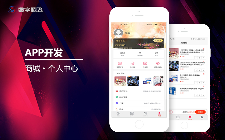 北京數(shù)字騰飛|技術(shù)總監(jiān)在線