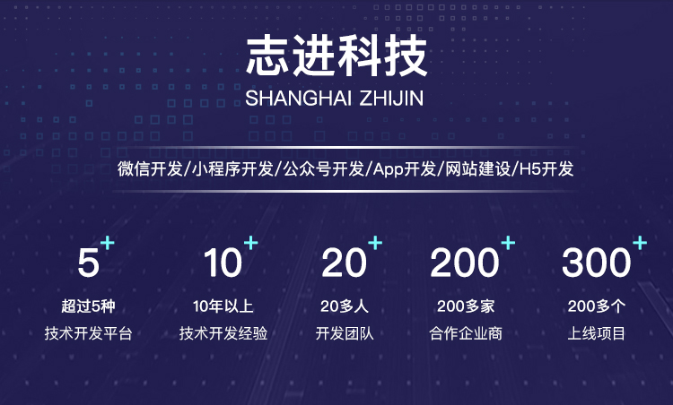 上海志进科技-十年IT开发经验