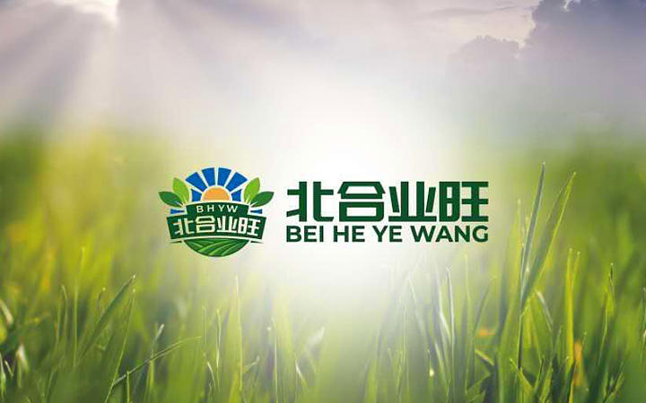 金墨品牌設(shè)計