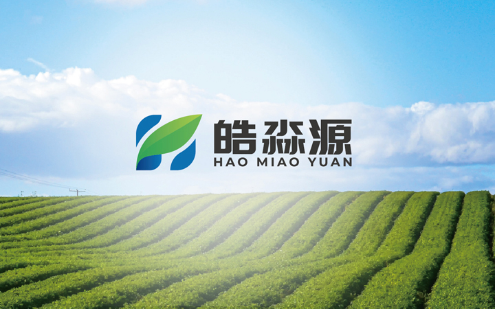 金墨品牌設計
