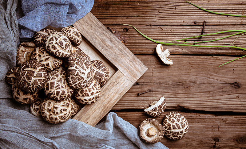 菌类健康项目商业计划书获得A轮1000万**