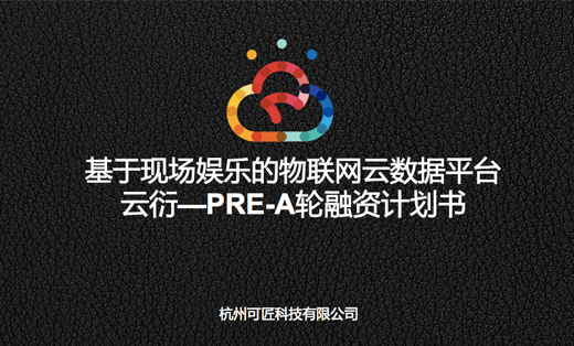 傳加商業(yè)計劃書部門案例展示