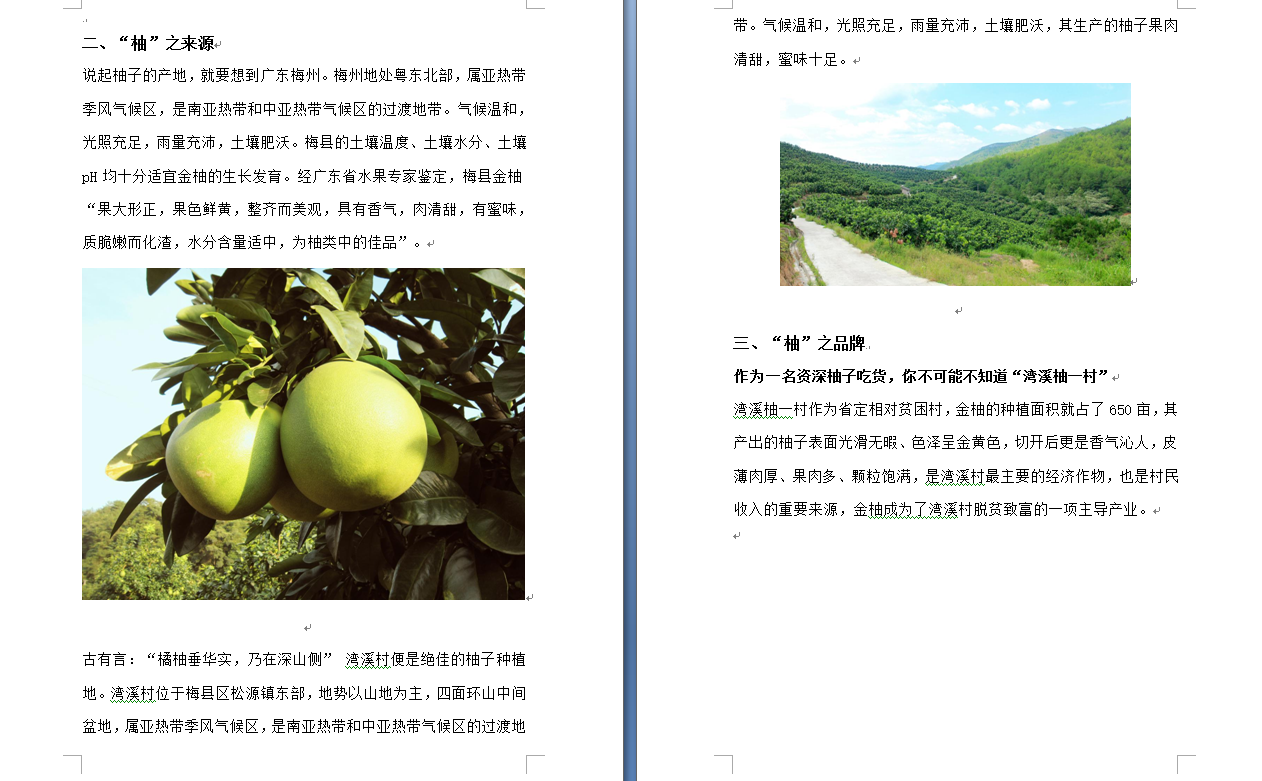 奪目年華文化