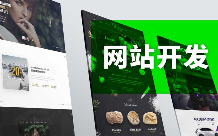 软件开发定制找哪家_什么是软件定制开发