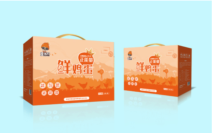 DON品牌设计策划