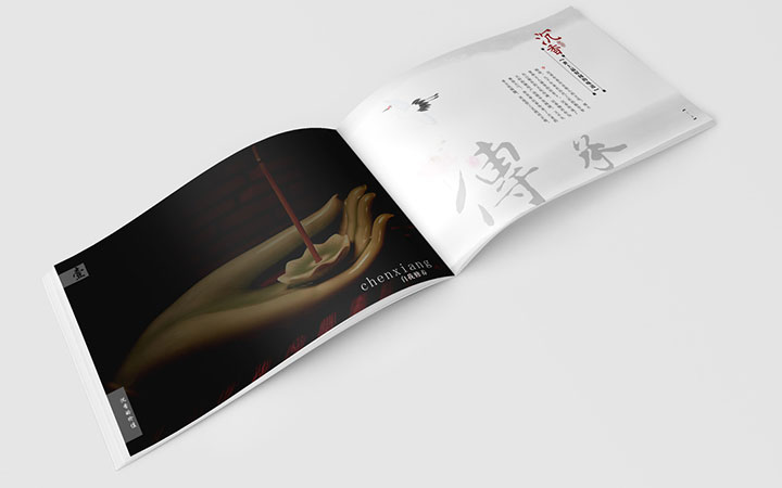 企业画册设计宣传册食品公司简介产品科技封面说明书招商创意手册