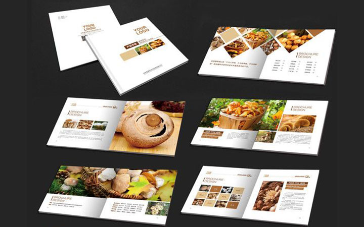 企业画册设计食品饮料教育互联网科技封面宣传册手册说明书招商