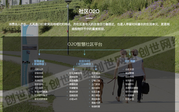 创世网络网站建设