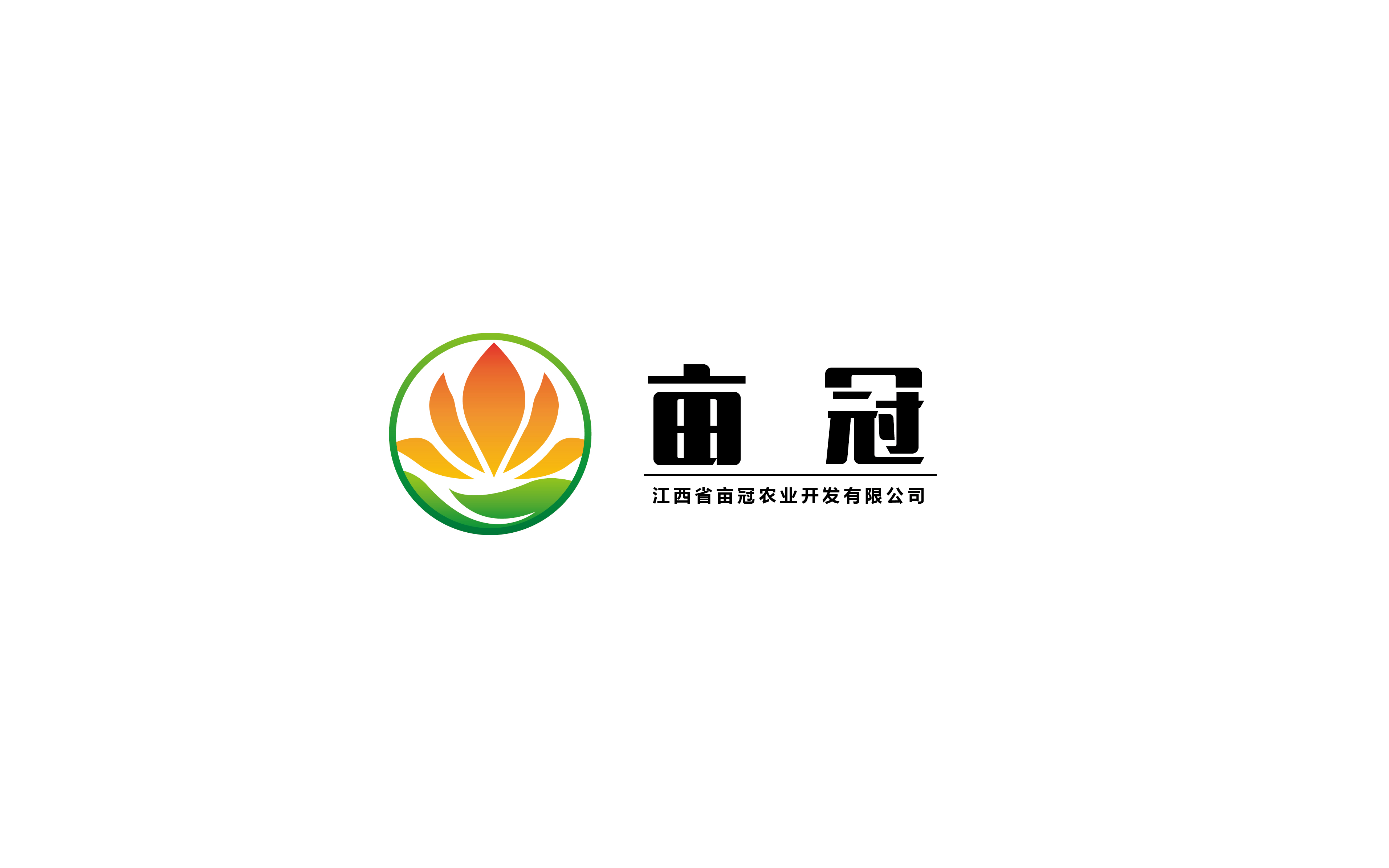 王家店小二&取名logo包裝vi畫冊