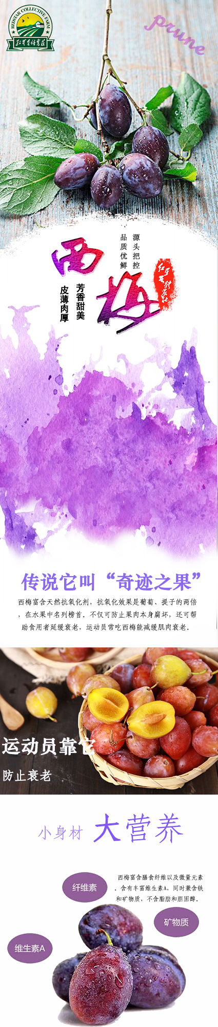 想要文案現(xiàn)給您做