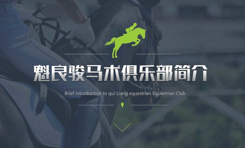 PPT设计PPT制作PPT美化工作汇报路演PPT演示**计划