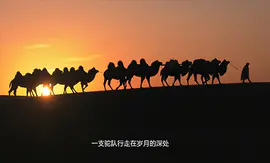 50分钟大型纪录片《骆驼客》